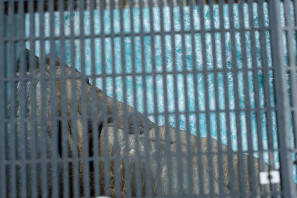 A view of blue ocean water and rocks seen through a metal grate, creating a grid-like pattern across the photograph.