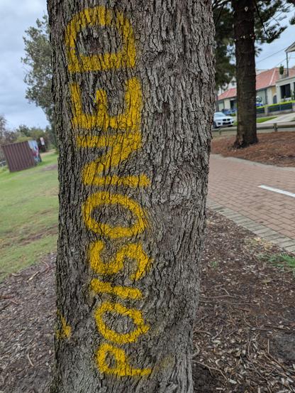 The image shows a close-up of a tree trunk with the word "POISONED" painted in large, bold, yellow letters. The letters are vertical, running from the bottom to the top of the trunk. The tree bark is rough and textured, with a grayish-brown color. In the background, there is a paved path, a grassy area, and a residential street with houses and a parked car. The sky is overcast, suggesting a cloudy day. The word "POISONED" is clearly visible and stands out against the tree bark.