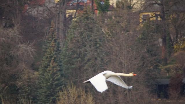 etwas weiterer Bildausschnitt