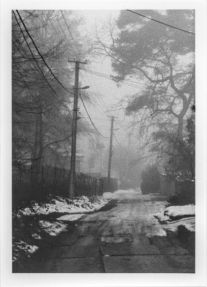 The image is a black-and-white photograph with a high level of grain, suggesting it was taken on very grainy film. It depicts a quiet, foggy street with patches of melting snow on the ground. Tall utility poles with power lines stretch into the distance, creating a sense of depth and leading the viewer’s eye down the road. The trees, both bare and evergreen, frame the scene, adding to the moody and atmospheric feel. The fog obscures the background, enhancing the mysterious and somewhat melancholic mood of the photograph. This is an optical print made in a darkroom from a negative shot on high-grain film