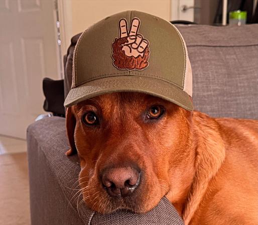 Ted wearing my cap
