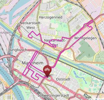 Route der Critical Mass vom 21.03.2025
