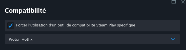 Menu Compatibilité de Steam.

La case "Forcer l'utilisation d'un outil de compatibilité Steam Play spécifique" est cochée.

En dessous on voit une liste déroulante avec l'élément "Proton Hotfix" sélectionné.