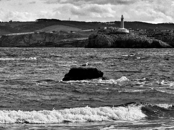 Imagen en blanco y negro de una gaviota posada sobre una roca que sobre sale del mar. En primer plano las olas rompen tranquilas en las playa. Al fondo se ve un faro en un islote.