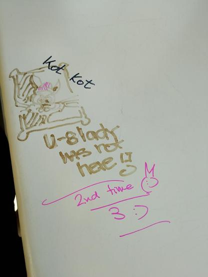 Graffiti in the RB24 train from Eberswalde to Berlin

Text: Kat Kot (black)
Bild: Catcomic
Text: U-8Lady was not here
2nd time (katze)
3rd time (smiley)

#Katzen #Katze #CatContent