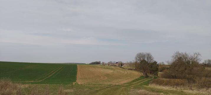 Vue d'un paysage de campagne vallonné depuis un chemin enherbé
