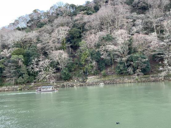 Pleasure boat on the river. I'm not so sedentary, though, and often walk along the path that you can sort of see on the other side of the river.