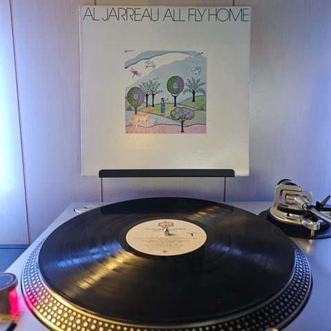 A vinyl record sits on a turntable. Behind the turntable, a vinyl album outer sleeve is displayed. The front cover shows artwork featuring a kid flying a kite in a forest. There are trees, birds, a dragonfly, and a deer.