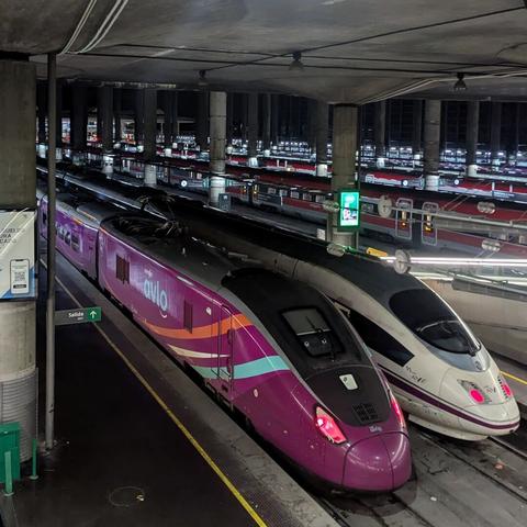 Two Talgo high-speed trains at Madrid Atocha station. One is in Avlo, the other other in Ave livery.