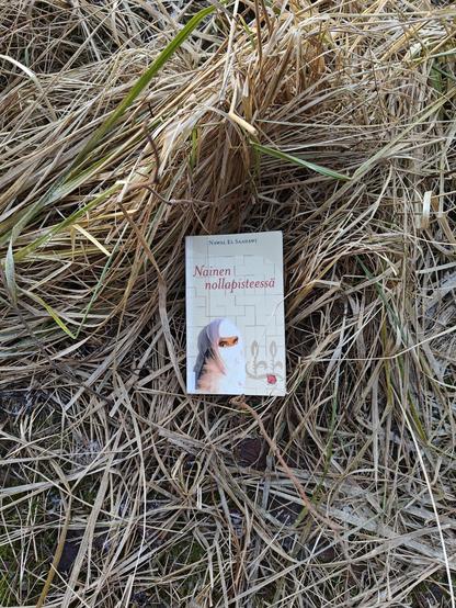 Kuvassa Nainen nollapisteessä -kirja kuvattuna kellastuneessa kaislikossa.