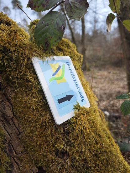 A small white plaque that reads "Spessartspuren" (traces of the Spessart) on a tree stump, overgrown by moss.
