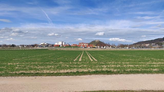 Das Städtchen Staufen mit Burgberg bei herrlichem Frühsommerwetter. Im Vordergrund Felder.