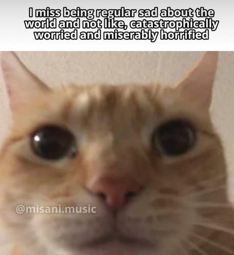 Picture of a cat with the caption "I miss being regular sad about the world and not like, catastrophically worries and miserably horrified"