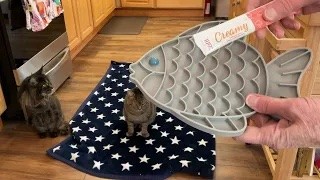 Slow-feeding mat for cats