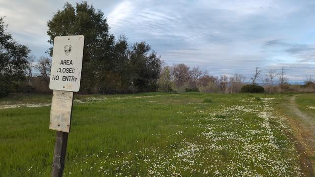 Wildflowers growing in the spring grass. A sign on the left reads "Area Closed No Entry". An inviting road extends to the right.