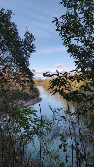 The Russian River is shown through shrubbery. On the horizon is Saint Helena Mountain.