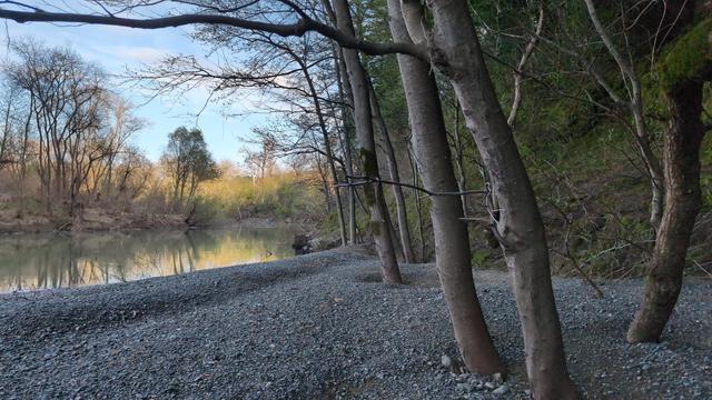 Trees on the right side flank a stoney shoreline along Russian River on the left side.