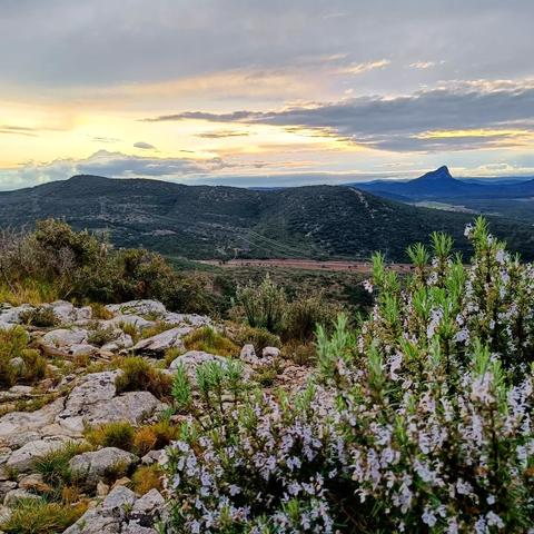 Sur le puech des Mourgues, avec vue sur le pic Saint-Loup pendant le coucher du soleil, par une fin de week-end printannier pluvieux