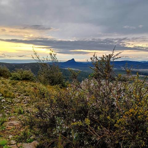Sur le puech des Mourgues, avec vue sur le pic Saint-Loup pendant le coucher du soleil, par une fin de week-end printannier pluvieux