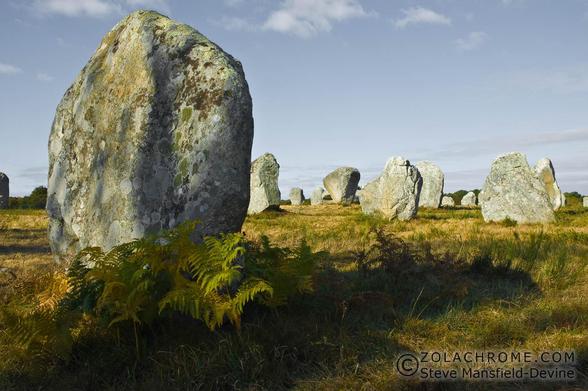 Photograph of a group of ancient standing stones (menhirs) in an open field.