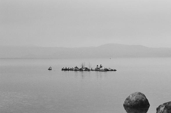 A black and white photo of a lake. At the centre of the frame some rocks stick out of the water and some birds are resting on it. In the foreground some round shaped rocks, in the background, covered in fog, the shore with some hills.