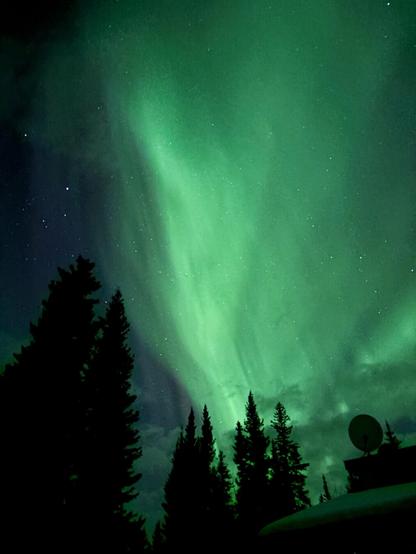 A vertical capture of the splendor of the Aurora Borealis in Tok, Alaska. A house and pine trees are silhouetted