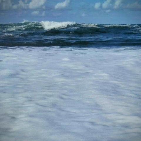 View from a shoreline to the ocean. The water is foamy, a dark-blue wave with white crests is rolling towards the viewer.
