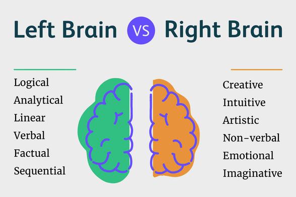 Left/right brain graphic