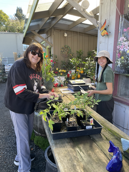 My wife at the outdoor checkout counter buying tomato plants