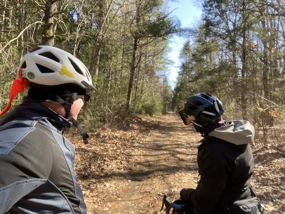 Two cyclists pause on a path to take photos and selfies. The path is in New England woods just out of winter season, the colors are mostly browns and greys with the only green provided by evergreen trees. The cyclist on the left has a white helmet with stickers on it including one of a rocket ship and another that reads "you are beautiful"; there is also a safety-orange colored flag strapped to the helmet for visibility. The cyclist on the right has a dark grey helmet with a sticker for Hub Bicycle.