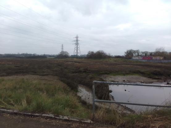 Reverse view showing the galvanise steel railings at the end of the bridge, and the marsh which has become of the lagoon of the former tide mill once at this site. Electricity pylons form part of the horizon.