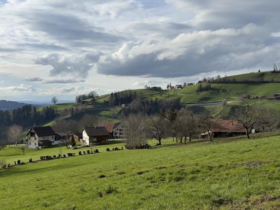 landschaftsaufnahme mit grüner wiese, einigen verstreuten häusern und bäumen