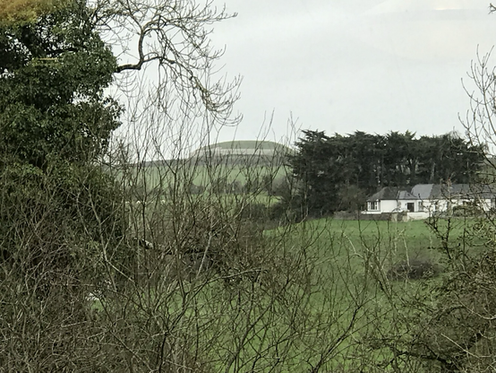 Distant shot of Newgrange on the horizon.