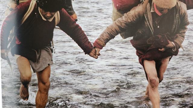 color photo of two male presenting humanoids holding hands, forging a river, calf high in water, wearing heavy looking packs, and wearing their bottom clothe rolled up to resist watery wetness.