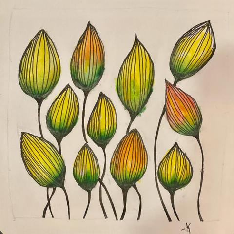 A very simple pen and ink drawing, almost a doodle, of unopen buds. The buds are in shades of yellow, orange, and red.