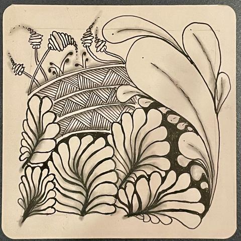 A Zentangle tile with doodles in black ink of different sorts of plants.