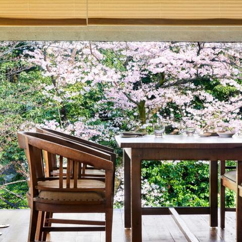 Best hotels in Kyoto to witness sakura season