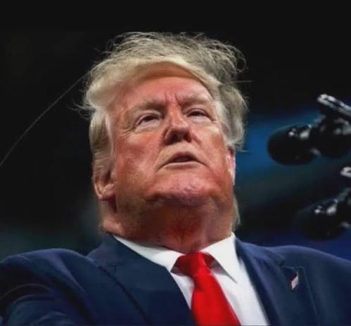 Herr Trump