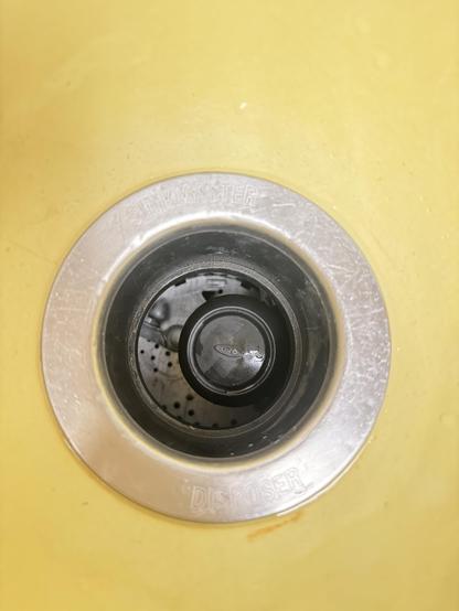 Garbage disposal with a OXO brush in it.
