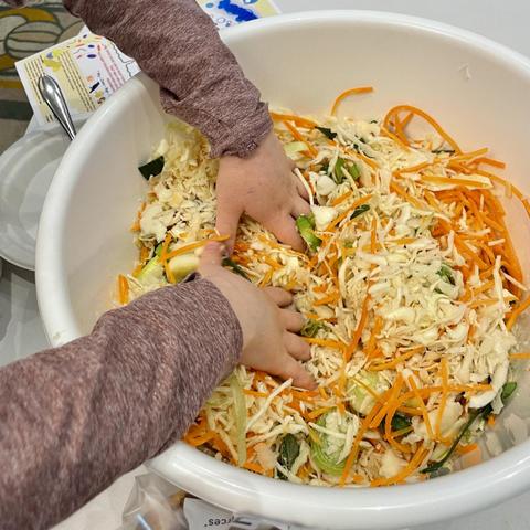 Child’s hands mixing a bowl of slaw like carrot and cabbage