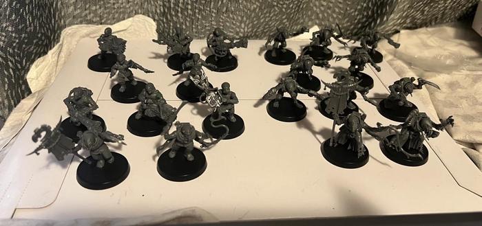 Unpainted Warhammer 40K Miniatures.
10 Genestealer Cult Metamorph Hybrids.
10 Genestealer Cult Acolyte Hybrids