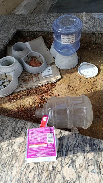 Some pet food and water dispensers, with an open sachet of Whiskas in the foreground