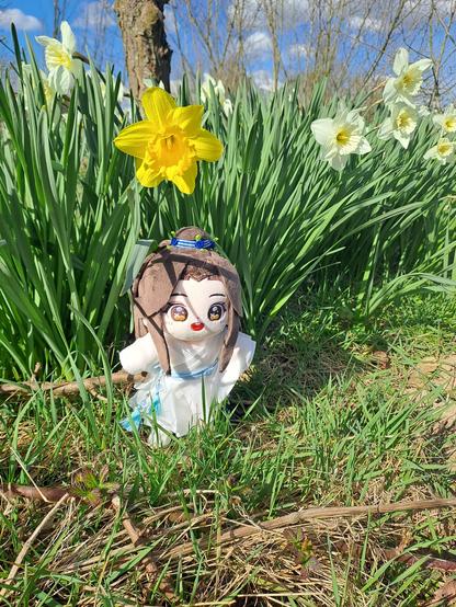 lianlian with daffodils