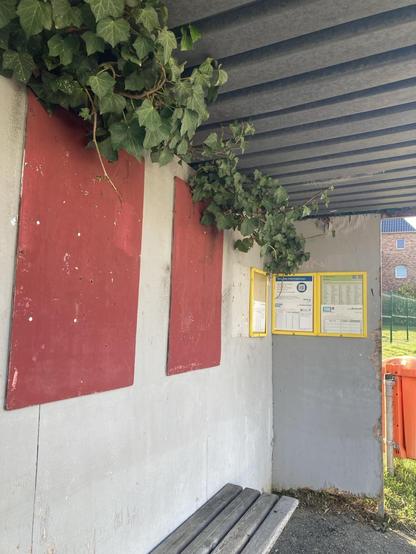 Ältere Bushaltestelle mit an der Schnittstelle Rückwand/Dachauflage hereinwachsendem Efeu. Die Haltestelle ist innen hellgrau gestrichen, das Dach ist eine dunkelgraue Plastikauflage. In der Bushaltestelle hänge zwei dunkelrote Sperrholztafeln zum Anbringen von Flyer und Plakaten, die derzeit leer sind.