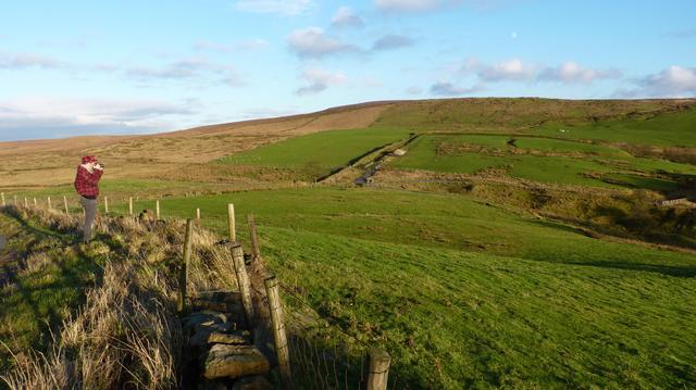 moorland landscape