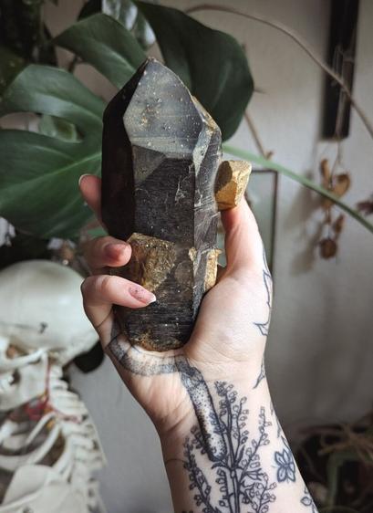 Das Bild zeigt eine Hand, die einen großen, dunkel gefärbten Kristall mit gold-braunen Einschlüssen hält. Es handelt sich um einen Rauchquarz. Auf der Hand sind Tattoos zu sehen. Im Hintergrund befindet sich eine grüne Pflanze mit großen Blättern sowie ein teilweise sichtbares Skelettmodell.