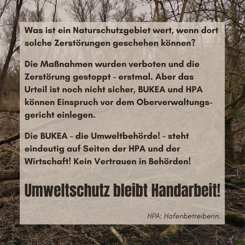 Text: Was ist ein Naturschutzgebiet wert, wenn dort solche Zerstörungen geschehen können? 
Die Maßnahmen wurden verboten und die Zerstörung gestoppt - erstmal. Aber das Urteil ist noch nicht sicher, BUKEA und HPA können Einspruch vor dem Oberverwaltungsgericht einlegen. 
Die BUKEA - die Umweltbehörde! - steht eindeutig auf Seiten der HPA (Hafenbetreiberin) und der Wirtschaft! Kein Vertrauen in Behörden! Umweltschutz bleibt Handarbeit! 
Hintergrundbild zeigt den zerstörten Teil des Völli.
