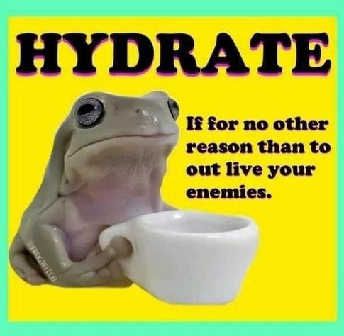 The image features a humorous meme with a frog holding a white cup. The frog is positioned against a bright yellow background with a teal border. The text at the top reads "HYDRATE" in bold, black letters with a pink outline. Below the frog, there is a caption in black text that says, "If for no other reason than to out live your enemies." The frog appears to be anthropomorphized, with its eyes wide open and a calm expression, as it holds the cup with both hands. The cup is small and white, resembling a teacup. The overall tone of the image is light-hearted and whimsical, with a playful message about the importance of hydration.

Provided by @altbot, generated privately and locally using Ovis2-8B

🌱 Energy used: 0.153 Wh