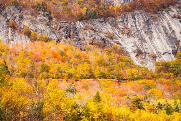 A classic train pulling passenger cars climbs Crawford Notch though fall foliage with mountain cliffs behind.
© Tom Goetz. All rights reserved. Training an AI on this image is expressly forbidden.