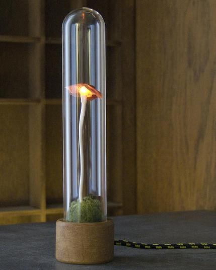A glowing mushroom light with a slender, elongated stem and a vibrant orange cap is encased in a tall, cylindrical glass tube. The cap emits a warm, golden light, contrasting with the dark background. The base of the tube is made of wood, grounding the delicate piece. At the bottom, green wool and embroidery add a mossy feel.